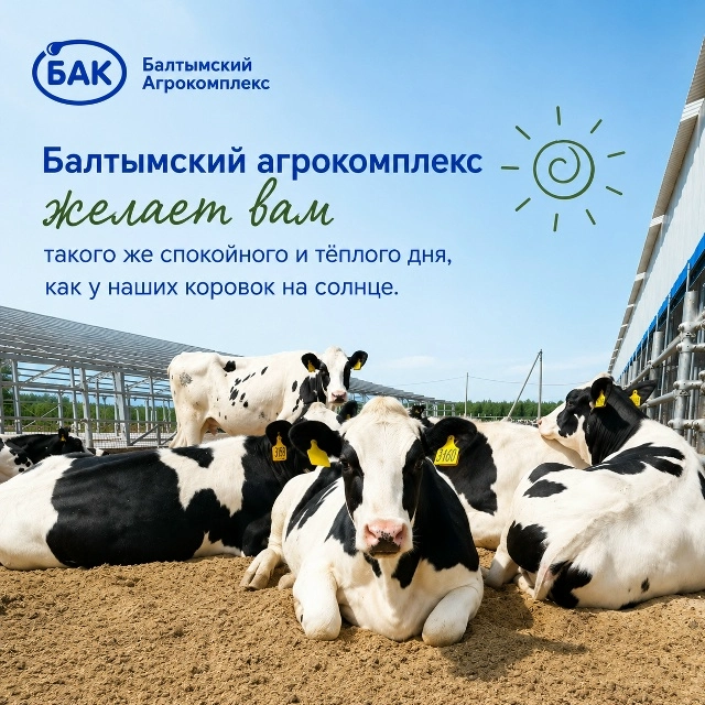 Эмоциональные вкладыши