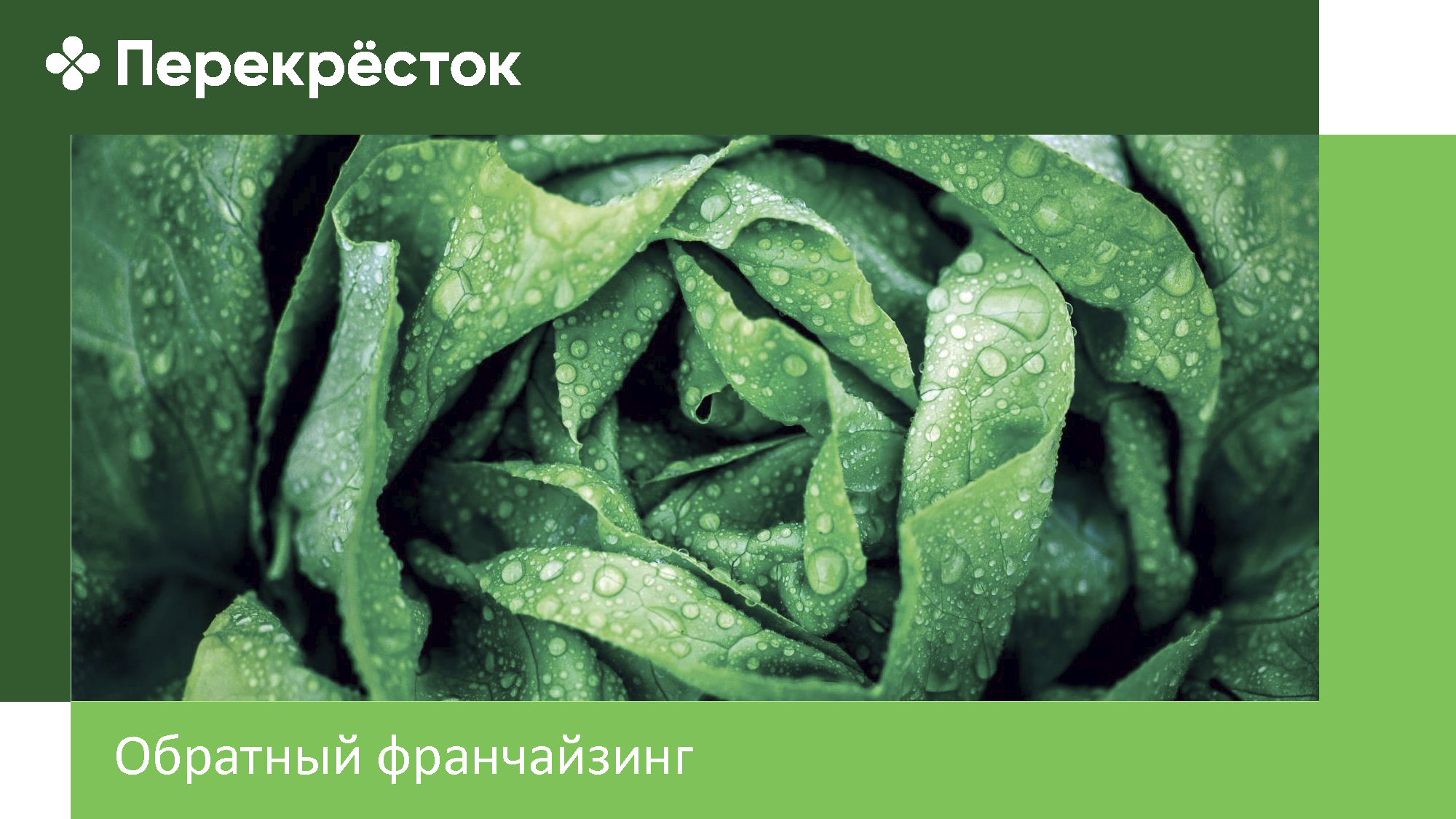 Информационный каталог для партнеров по франчайзингу