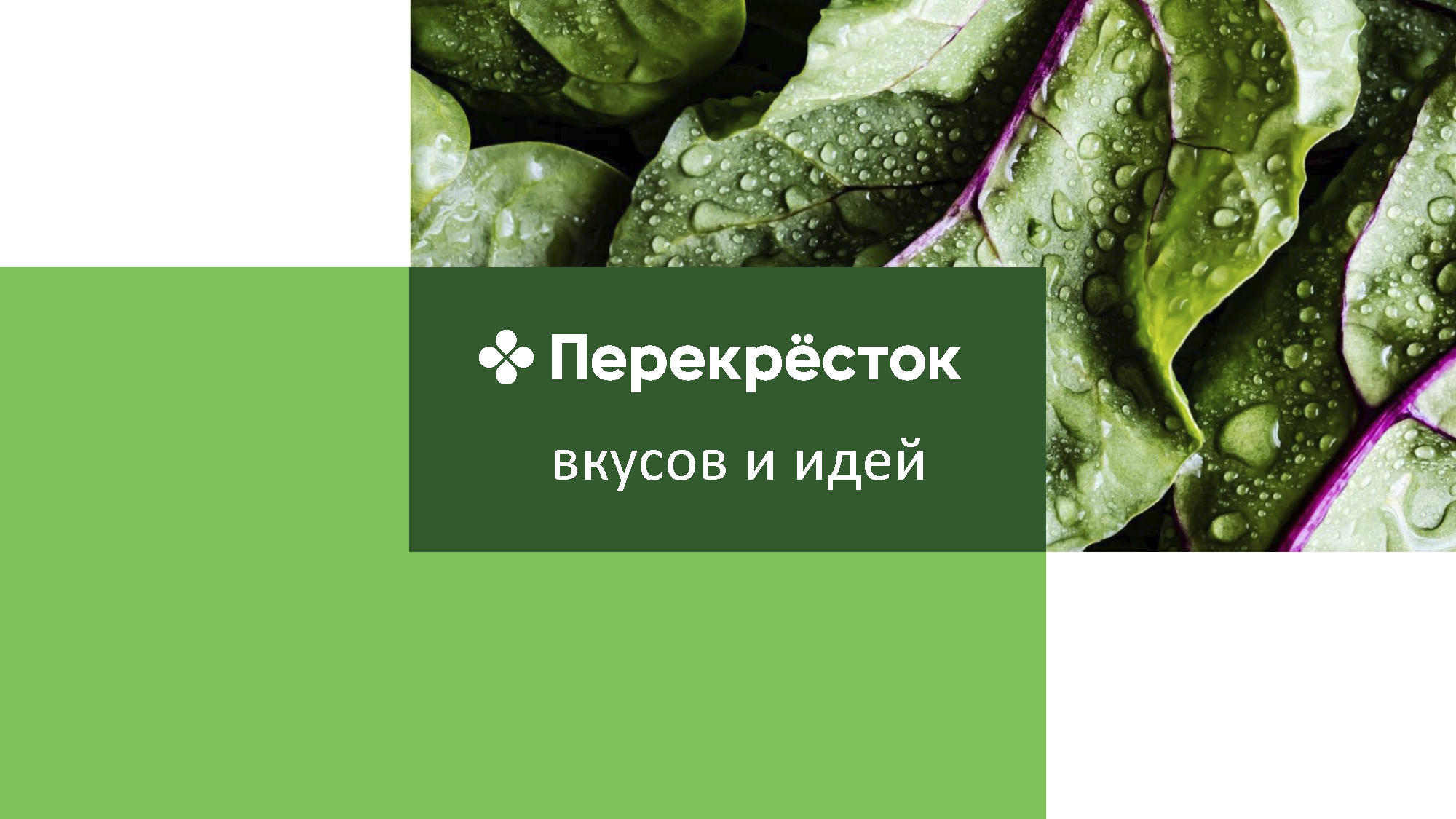Информационный каталог для партнеров по франчайзингу