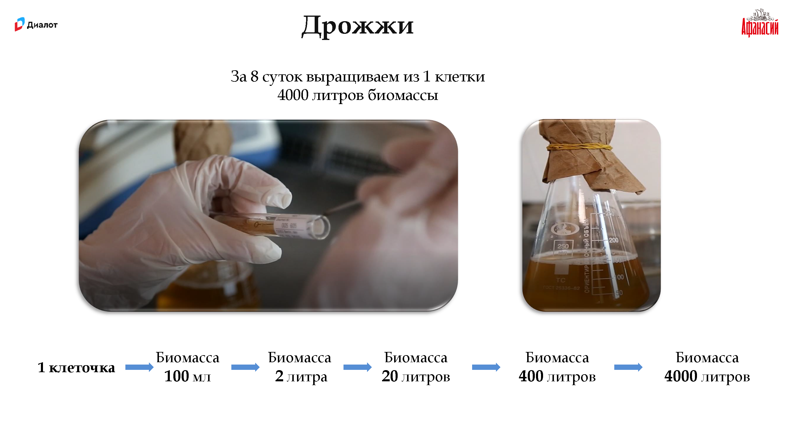 Премиальный брендбук Gletcher Brewery