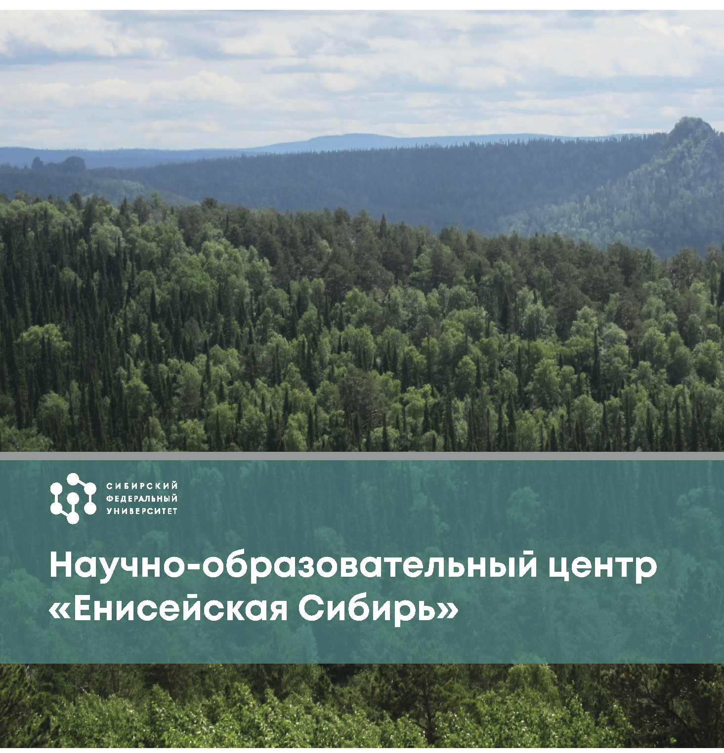 Презентационный доклад (Whitepaper) интегратора