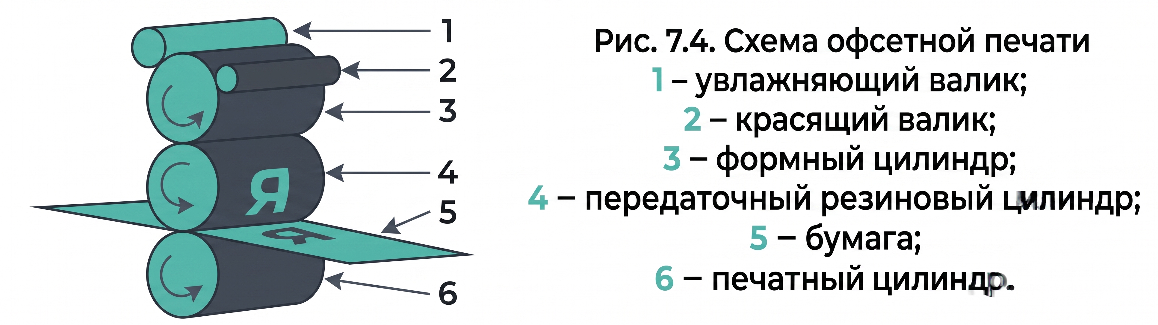 Рис. 7.4. Схема офсетной печати