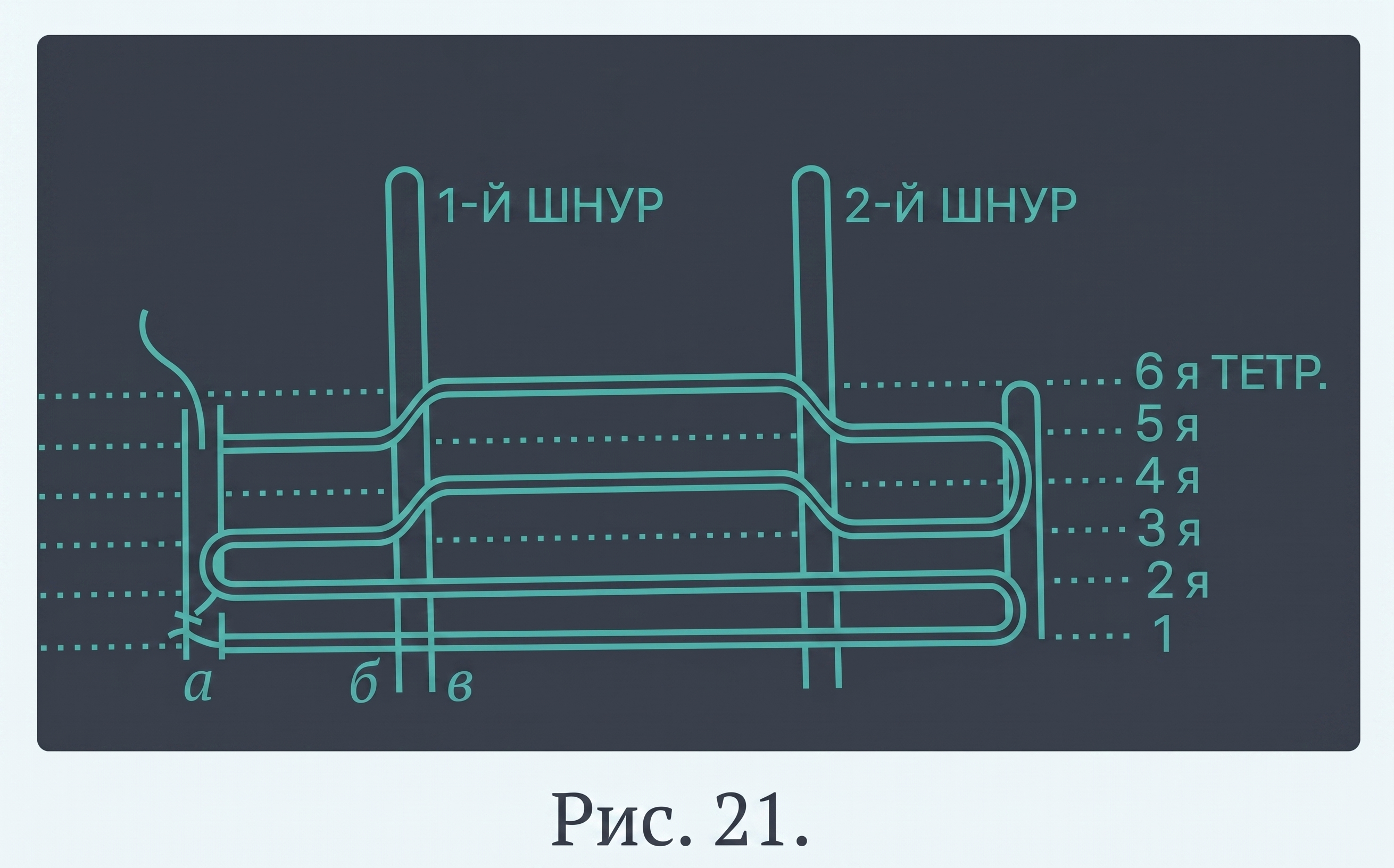 Положение нитки при шитье на двух шнурах