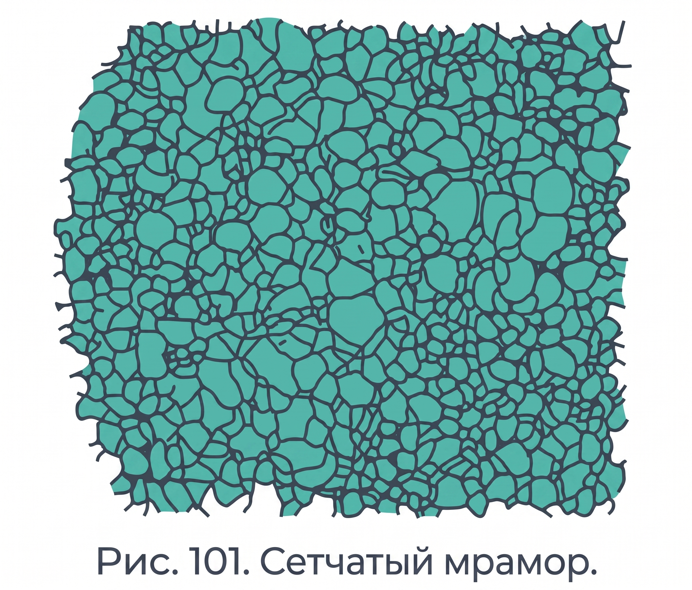 Сетчатый мрамор