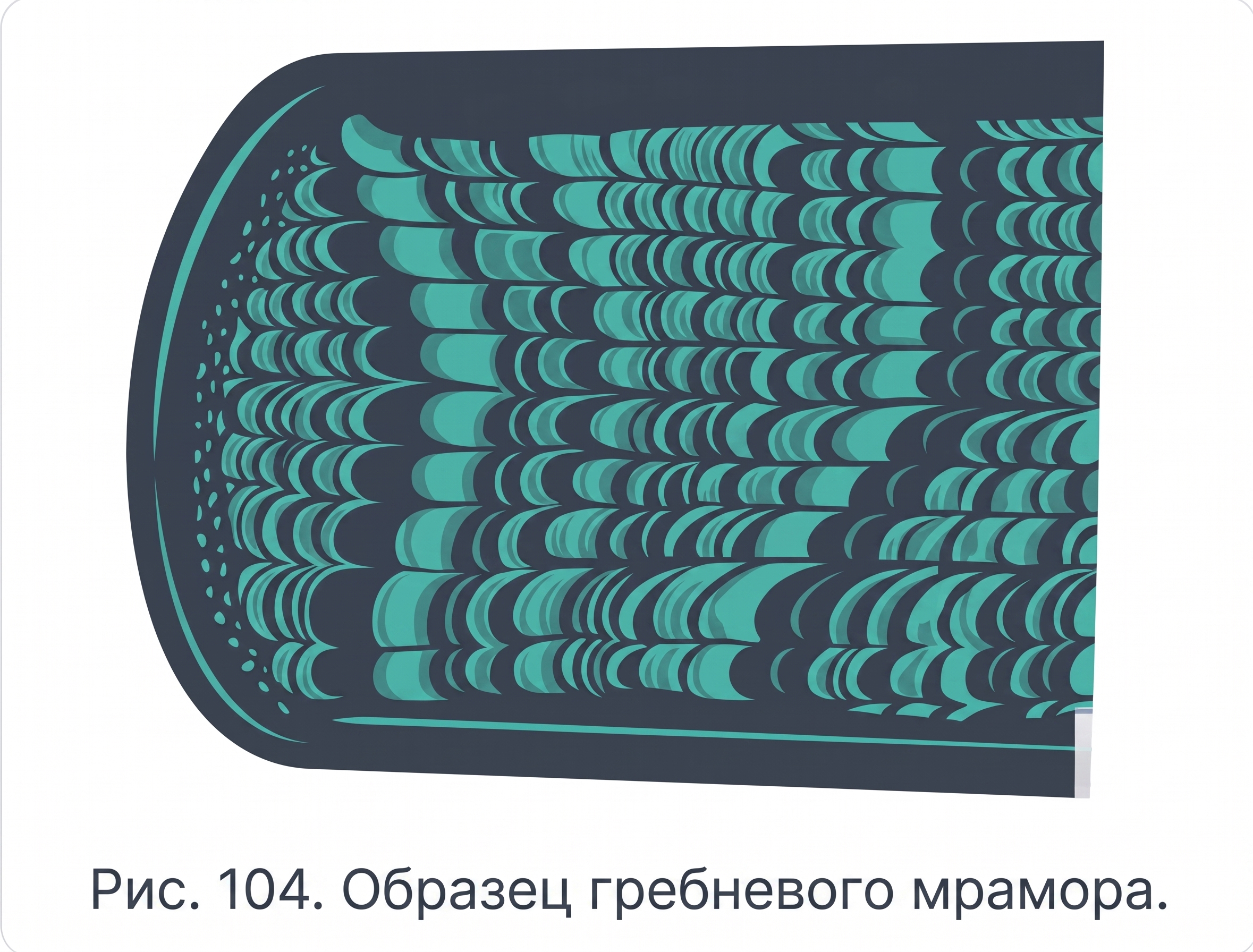 Образец гребневого мрамора