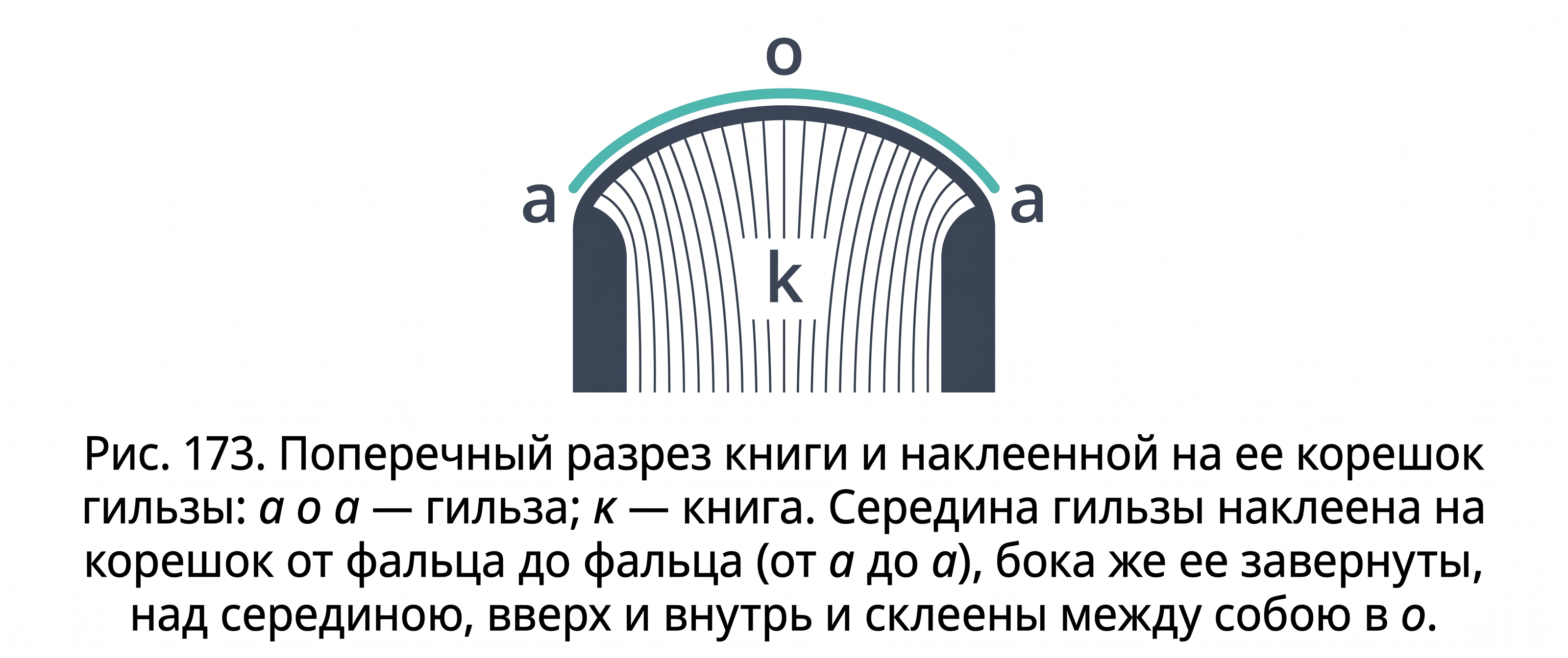 Поперечный разрез гильзы