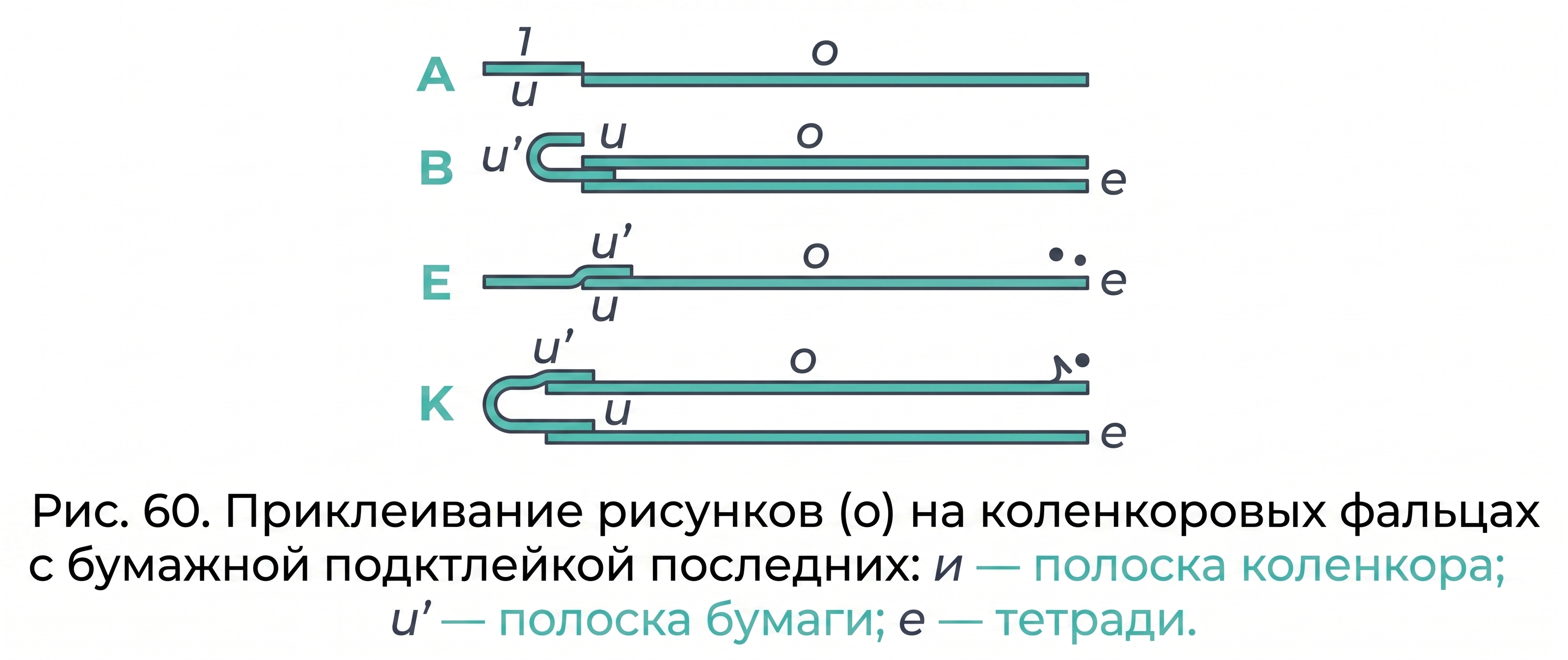 Рисунки на коленкоровых фальцах