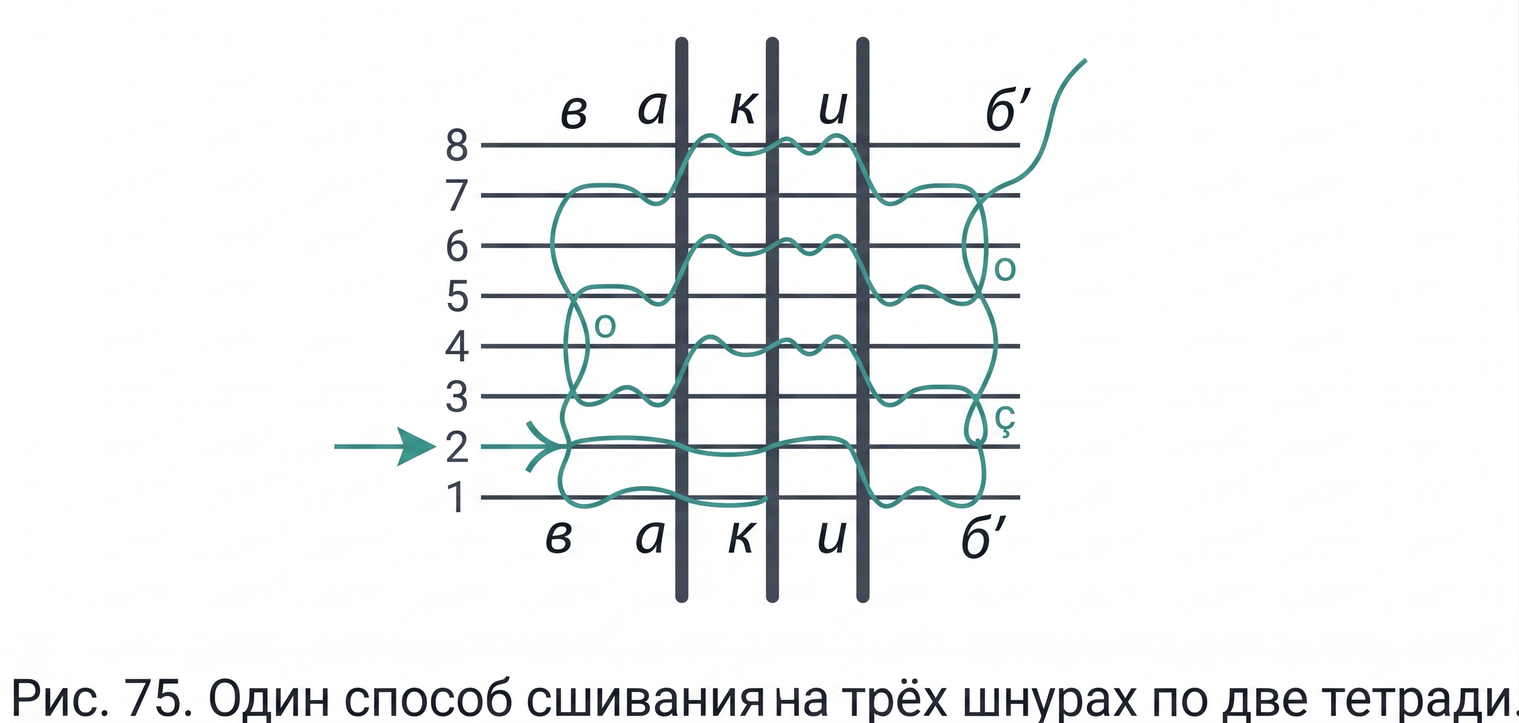 По две тетради на 3 шнура
