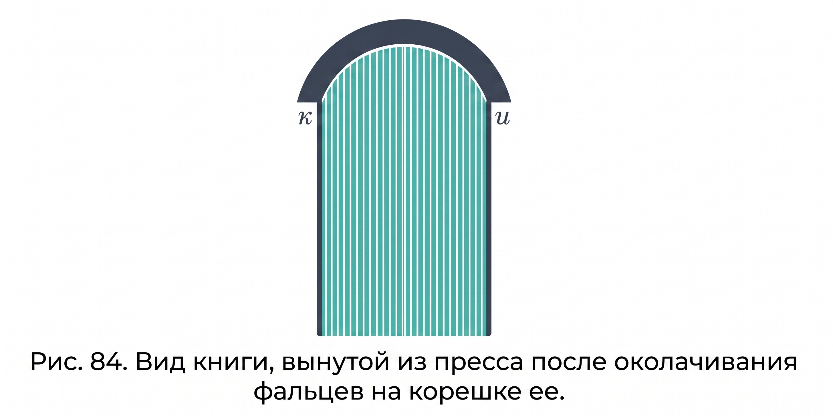 Вид фальцев 1