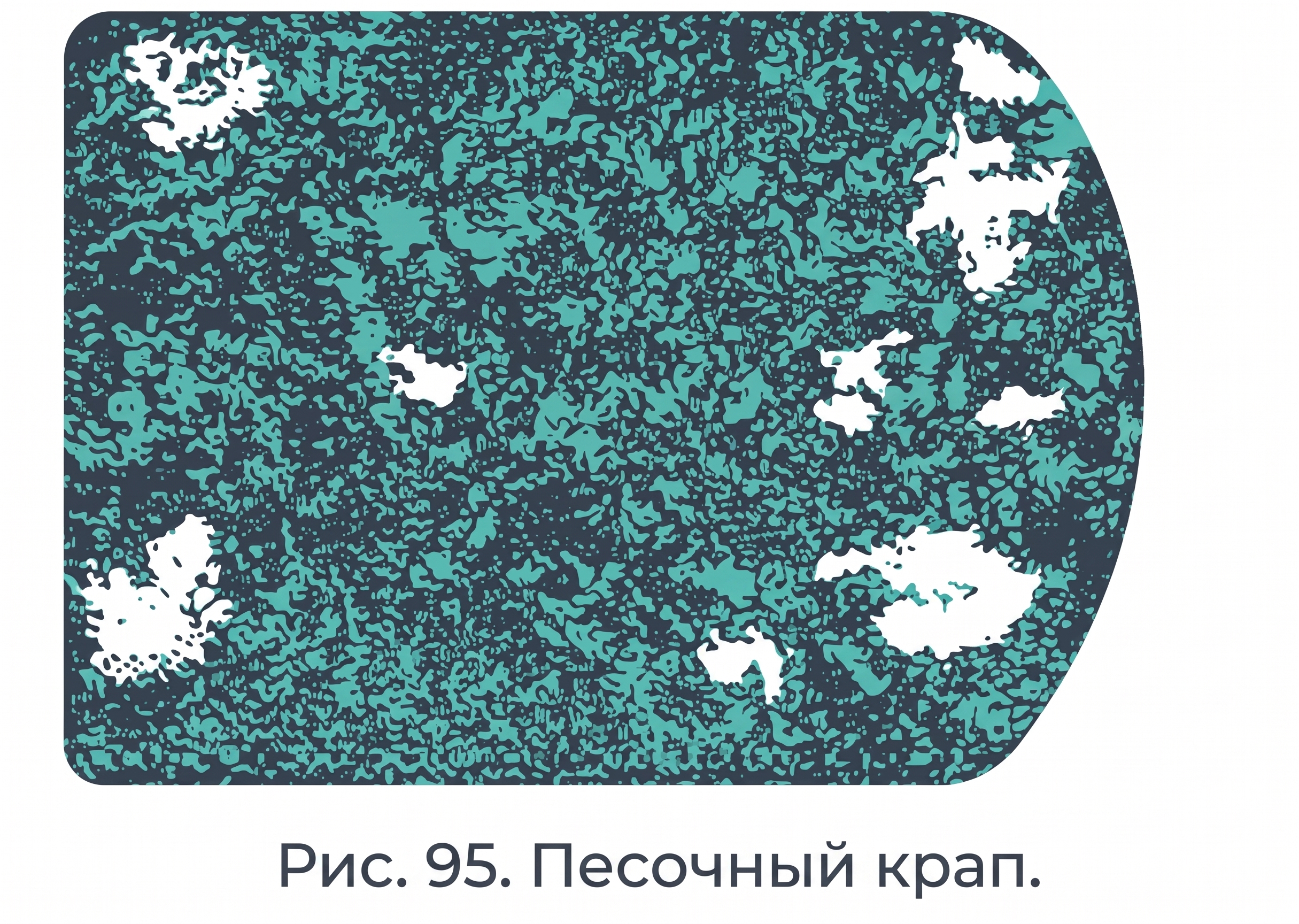 Песочный крап