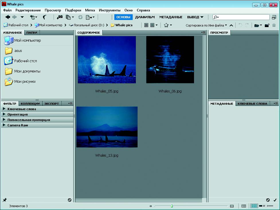 Рис. 1.10. Интерфейс инструмента Adobe Bridge