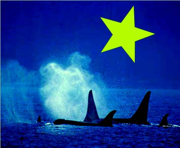 Рис. 2.29