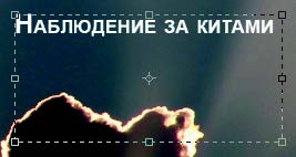 Рис. 2.46
