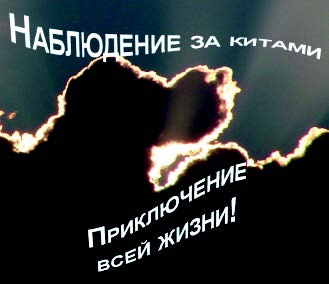 Рис. 2.56