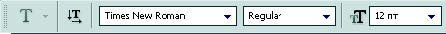 Рис. 4.12. Панель параметров инструмента Текст