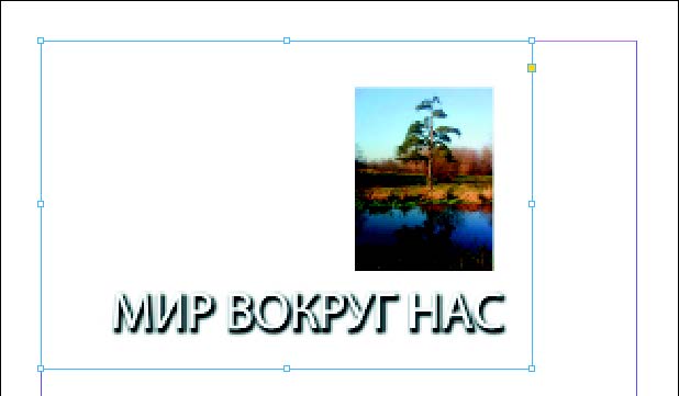 Рис. 6.156. Объект помещен на страницу