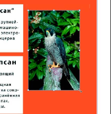 Рис. 7.83. Масштабирование фрейма путем перетаскивания